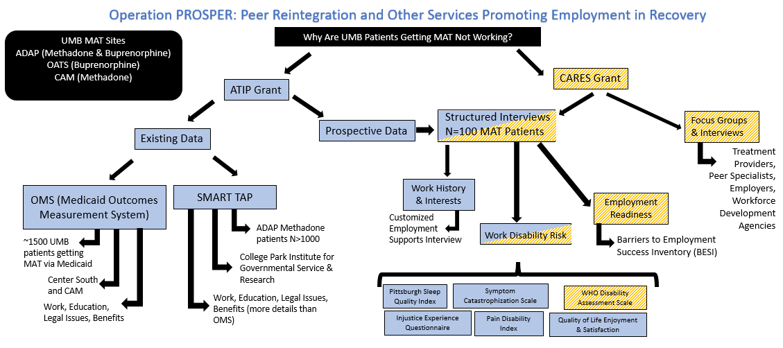 Operation PROSPER: Peer Reintegration and Other Services Promoting Employment in Recovery